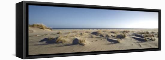 Germany, Schleswig - Holstein, island of Sylt, dunes on the beach of List-Alexander Voss-Framed Premier Image Canvas