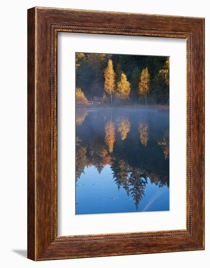 Germany, Schleswig-Holstein, Lauenburg Lakes Nature Park, Grundloser Kolk-Thomas Ebelt-Framed Photographic Print