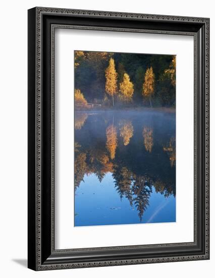 Germany, Schleswig-Holstein, Lauenburg Lakes Nature Park, Grundloser Kolk-Thomas Ebelt-Framed Photographic Print