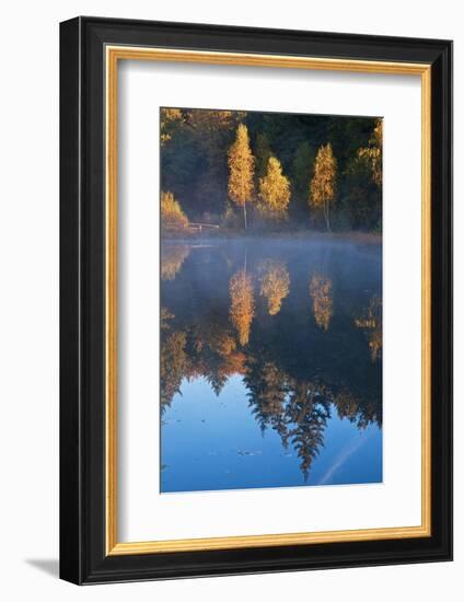 Germany, Schleswig-Holstein, Lauenburg Lakes Nature Park, Grundloser Kolk-Thomas Ebelt-Framed Photographic Print