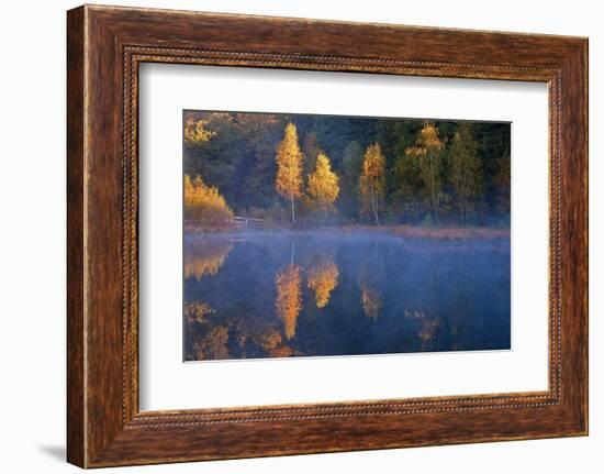 Germany, Schleswig-Holstein, Lauenburg Lakes Nature Park, Grundloser Kolk-Thomas Ebelt-Framed Photographic Print