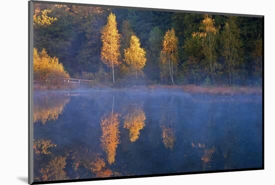 Germany, Schleswig-Holstein, Lauenburg Lakes Nature Park, Grundloser Kolk-Thomas Ebelt-Mounted Photographic Print