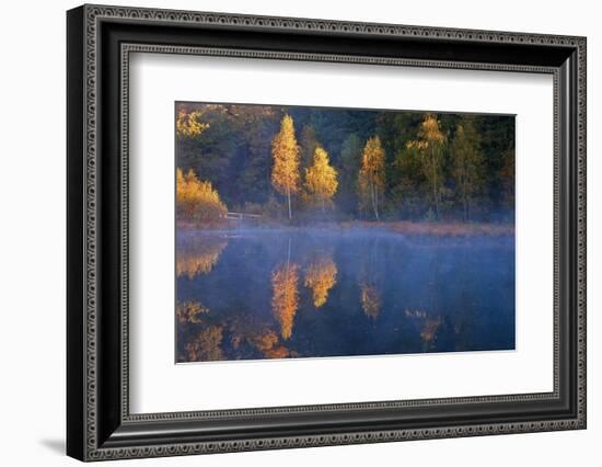 Germany, Schleswig-Holstein, Lauenburg Lakes Nature Park, Grundloser Kolk-Thomas Ebelt-Framed Photographic Print