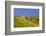 Germany, Schleswig-Holstein, North Frisia, Island of Pellworm, Alter Koog-Udo Siebig-Framed Photographic Print