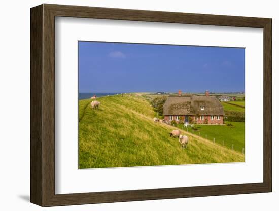 Germany, Schleswig-Holstein, North Frisia, Island of Pellworm, Alter Koog-Udo Siebig-Framed Photographic Print