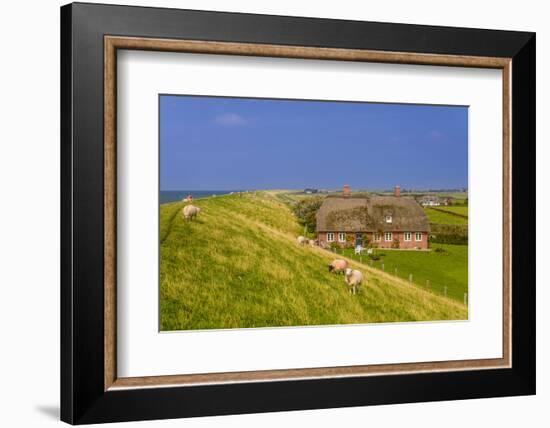 Germany, Schleswig-Holstein, North Frisia, Island of Pellworm, Alter Koog-Udo Siebig-Framed Photographic Print