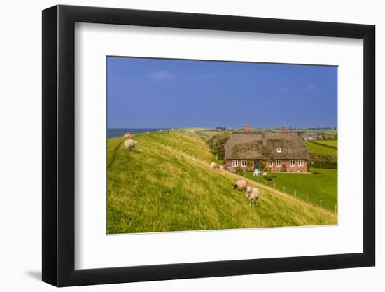 Germany, Schleswig-Holstein, North Frisia, Island of Pellworm, Alter Koog-Udo Siebig-Framed Photographic Print