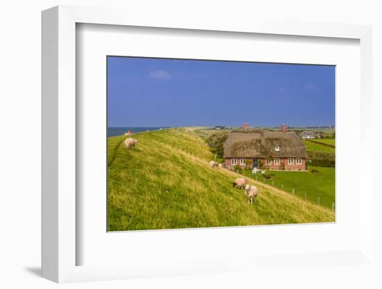 Germany, Schleswig-Holstein, North Frisia, Island of Pellworm, Alter Koog-Udo Siebig-Framed Photographic Print