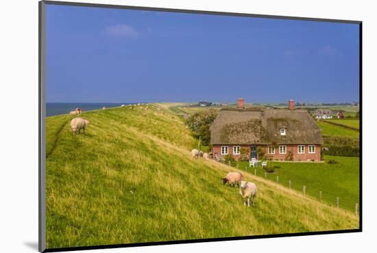 Germany, Schleswig-Holstein, North Frisia, Island of Pellworm, Alter Koog-Udo Siebig-Mounted Photographic Print