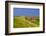 Germany, Schleswig-Holstein, North Frisia, Island of Pellworm, Alter Koog-Udo Siebig-Framed Photographic Print