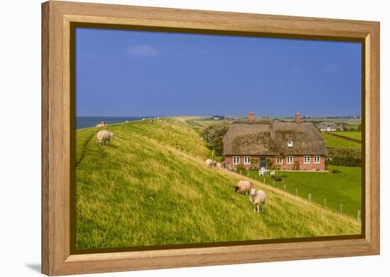 Germany, Schleswig-Holstein, North Frisia, Island of Pellworm, Alter Koog-Udo Siebig-Framed Premier Image Canvas