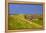 Germany, Schleswig-Holstein, North Frisia, Island of Pellworm, Alter Koog-Udo Siebig-Framed Premier Image Canvas