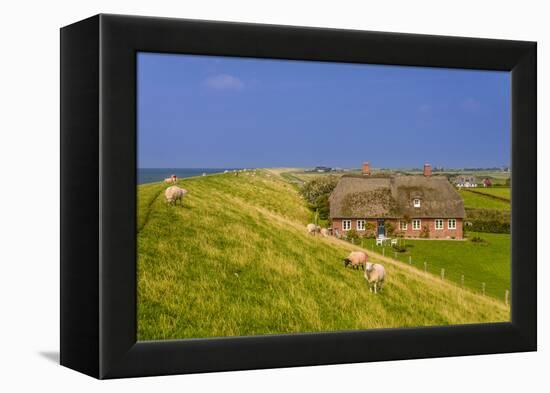 Germany, Schleswig-Holstein, North Frisia, Island of Pellworm, Alter Koog-Udo Siebig-Framed Premier Image Canvas