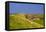 Germany, Schleswig-Holstein, North Frisia, Island of Pellworm, Alter Koog-Udo Siebig-Framed Premier Image Canvas