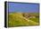 Germany, Schleswig-Holstein, North Frisia, Island of Pellworm, Alter Koog-Udo Siebig-Framed Premier Image Canvas