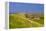 Germany, Schleswig-Holstein, North Frisia, Island of Pellworm, Alter Koog-Udo Siebig-Framed Premier Image Canvas