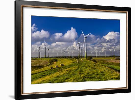 Germany, Schleswig-Holstein, North Frisia, North Frisian Marsh, Breklum-Udo Siebig-Framed Photographic Print