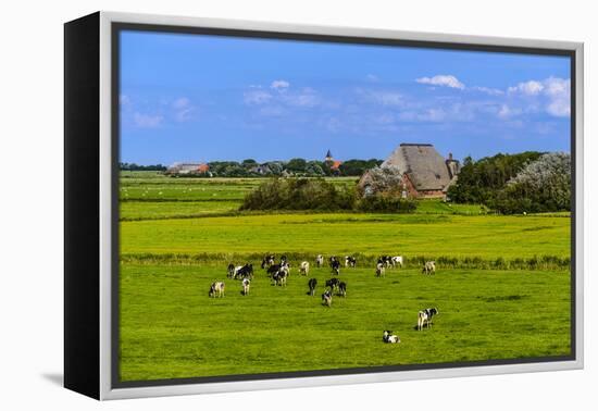 Germany, Schleswig-Holstein, North Frisia, Peninsula Eider (River)Stedt, Westerhever-Udo Siebig-Framed Premier Image Canvas