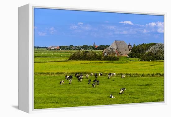 Germany, Schleswig-Holstein, North Frisia, Peninsula Eider (River)Stedt, Westerhever-Udo Siebig-Framed Premier Image Canvas