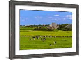 Germany, Schleswig-Holstein, North Frisia, Peninsula Eider (River)Stedt, Westerhever-Udo Siebig-Framed Photographic Print