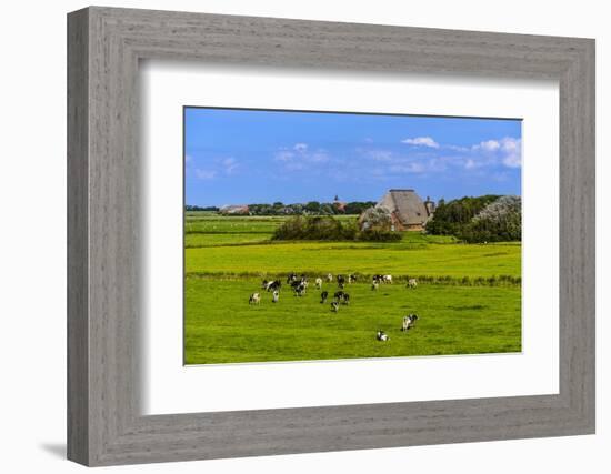 Germany, Schleswig-Holstein, North Frisia, Peninsula Eider (River)Stedt, Westerhever-Udo Siebig-Framed Photographic Print