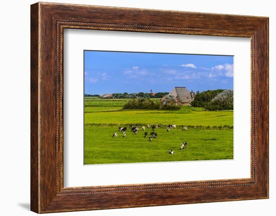 Germany, Schleswig-Holstein, North Frisia, Peninsula Eider (River)Stedt, Westerhever-Udo Siebig-Framed Photographic Print