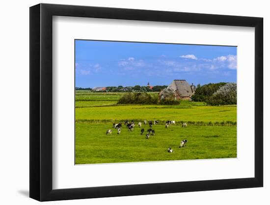 Germany, Schleswig-Holstein, North Frisia, Peninsula Eider (River)Stedt, Westerhever-Udo Siebig-Framed Photographic Print