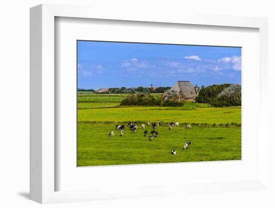 Germany, Schleswig-Holstein, North Frisia, Peninsula Eider (River)Stedt, Westerhever-Udo Siebig-Framed Photographic Print