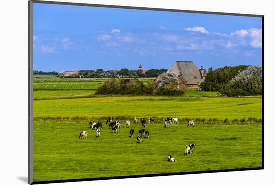 Germany, Schleswig-Holstein, North Frisia, Peninsula Eider (River)Stedt, Westerhever-Udo Siebig-Mounted Photographic Print