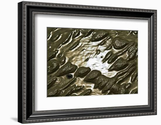 Germany, Schleswig-Holstein, Pellworm, Mud Flats, Wadden Sea, Close-Up-Ingo Boelter-Framed Photographic Print