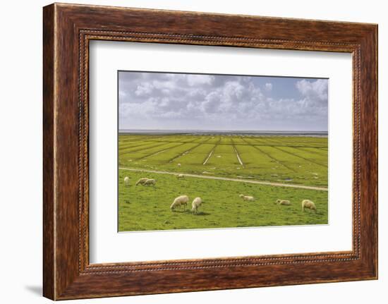 Germany, Schleswig-Holstein, Peninsula North Beach-Udo Siebig-Framed Photographic Print