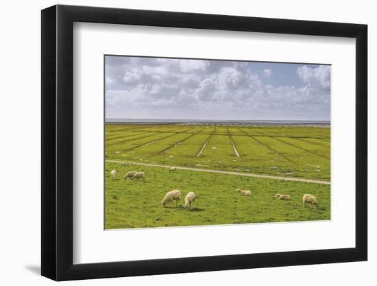 Germany, Schleswig-Holstein, Peninsula North Beach-Udo Siebig-Framed Photographic Print