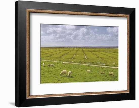 Germany, Schleswig-Holstein, Peninsula North Beach-Udo Siebig-Framed Photographic Print