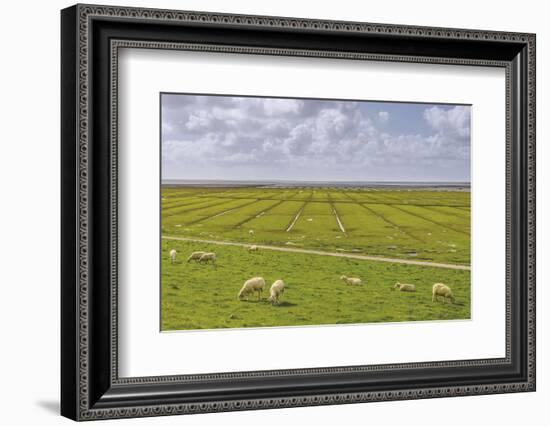 Germany, Schleswig-Holstein, Peninsula North Beach-Udo Siebig-Framed Photographic Print