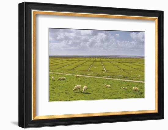 Germany, Schleswig-Holstein, Peninsula North Beach-Udo Siebig-Framed Photographic Print