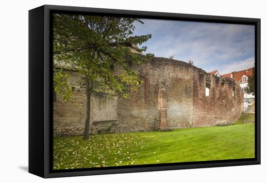 Germany, Speyer, Judenhof, Jewish Courtyard, Ancient Synagogue Wall-Walter Bibikow-Framed Premier Image Canvas