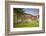 Germany, Speyer, Judenhof, Jewish Courtyard, Ancient Synagogue Wall-Walter Bibikow-Framed Photographic Print