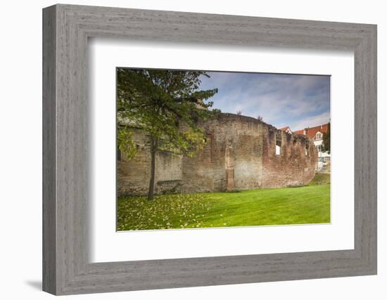 Germany, Speyer, Judenhof, Jewish Courtyard, Ancient Synagogue Wall-Walter Bibikow-Framed Photographic Print