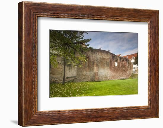 Germany, Speyer, Judenhof, Jewish Courtyard, Ancient Synagogue Wall-Walter Bibikow-Framed Photographic Print