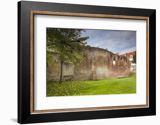 Germany, Speyer, Judenhof, Jewish Courtyard, Ancient Synagogue Wall-Walter Bibikow-Framed Photographic Print