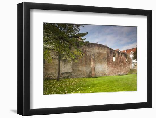 Germany, Speyer, Judenhof, Jewish Courtyard, Ancient Synagogue Wall-Walter Bibikow-Framed Photographic Print