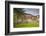 Germany, Speyer, Judenhof, Jewish Courtyard, Ancient Synagogue Wall-Walter Bibikow-Framed Photographic Print