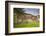 Germany, Speyer, Judenhof, Jewish Courtyard, Ancient Synagogue Wall-Walter Bibikow-Framed Photographic Print