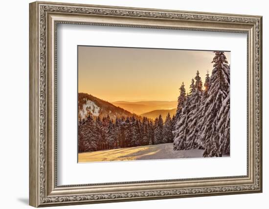 Germany, Thuringia, Gehlberg, SchmŸcke, Mountain Silhouettes, Spruces, Snow, Back Light-Harald Schšn-Framed Premium Photographic Print