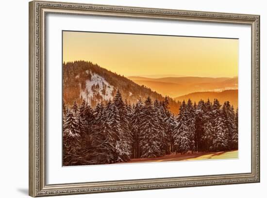 Germany, Thuringia, Gehlberg, SchmŸcke, Mountain Silhouettes, Spruces, Snow, Back Light-Harald Schšn-Framed Photographic Print