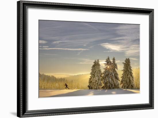 Germany, Thuringia, Neustadt / Rennsteig, Cross-Country Skier, Trees, Sun, Snow-Harald Schšn-Framed Photographic Print