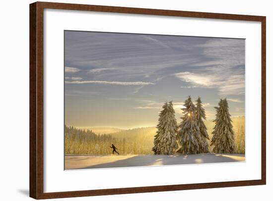 Germany, Thuringia, Neustadt / Rennsteig, Cross-Country Skier, Trees, Sun, Snow-Harald Schšn-Framed Photographic Print