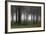 Germany, Thuringia, Rennsteig, Forest, Trees, Fog-Harald Schšn-Framed Premium Photographic Print