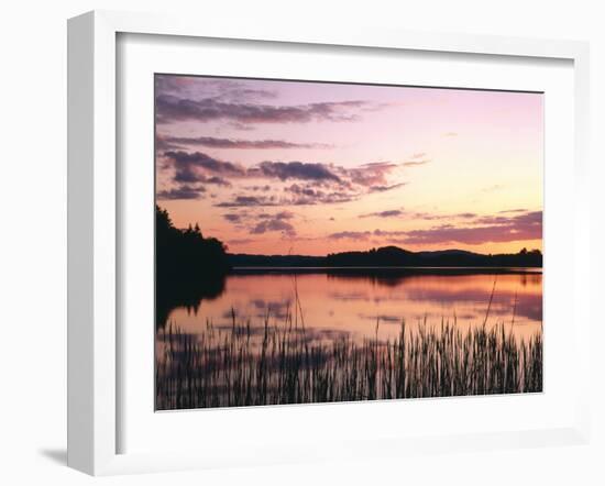 Germany, Upper Bavaria, Murnau, Lake Staffelsee, Evening Mood-Thonig-Framed Photographic Print