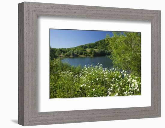 Germany, Weser Hills, Lower Saxony, Heinsen, Lake, Bath Bay, Shore, Marguerites-Chris Seba-Framed Photographic Print